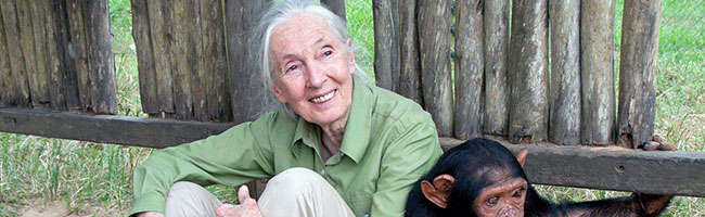 Jane Goodall Lecture Highlights