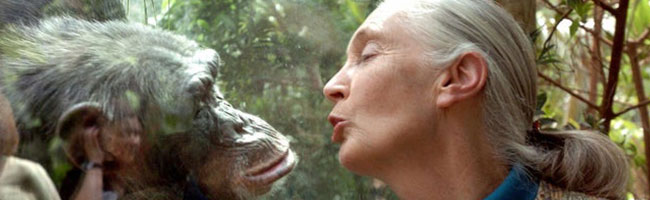 Dr Jane Goodall Lecture at New Roads School, Full Length