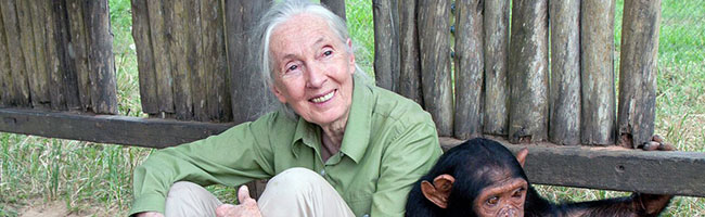 Highlights from Jane Goodall Lecture at New Roads School Santa Monica, CA