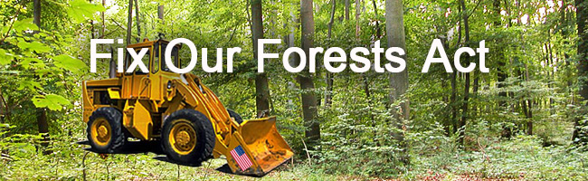 The Fix Our Forests Act: A Critical Examination of Current Government Policies of Cutting Down Forests Centuries Old
