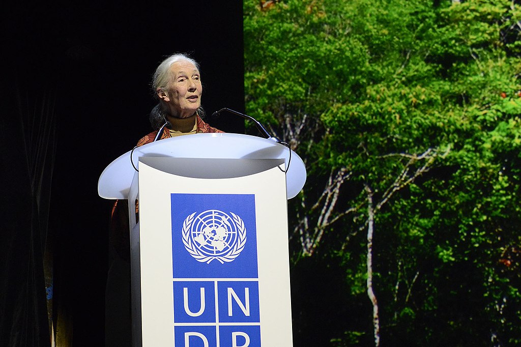 UN-Equator-Price-Alec-Baldwin-Jane-Goodall