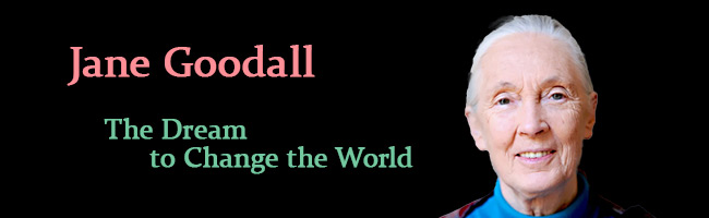 Preserving a Legend: Inside Jane Goodall’s Global Tour and Tanzania’s Upcoming 2026 Museum